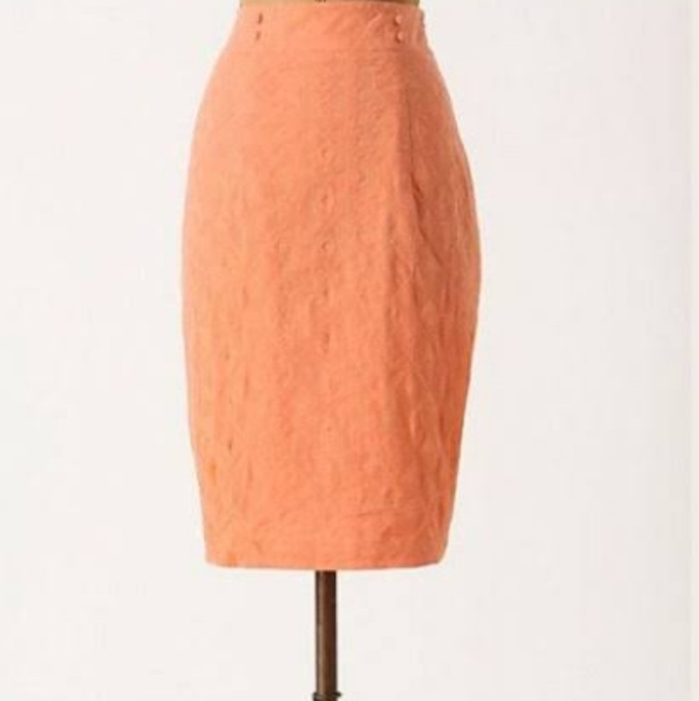 Anthropologie skirt